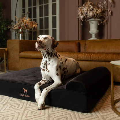 NOAH AND PAW LLC - Denim Orthopedic Dog Bed, Cooling Gel Memory Foam, Classic - Doglicious Bakery Bites