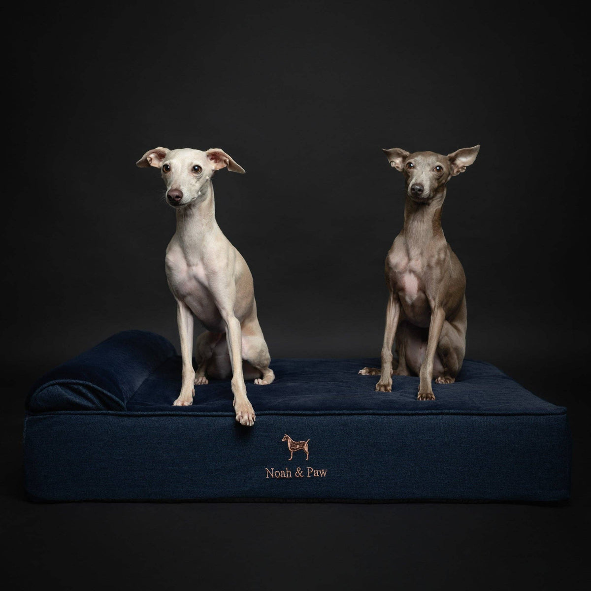 NOAH AND PAW LLC - Denim Orthopedic Dog Bed, Cooling Gel Memory Foam, Classic - Doglicious Bakery Bites