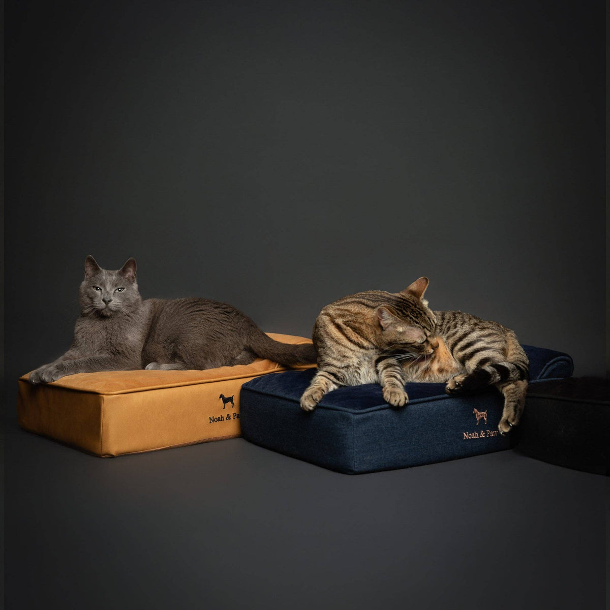 NOAH AND PAW LLC - Denim Orthopedic Dog Bed, Cooling Gel Memory Foam, Classic - Doglicious Bakery Bites