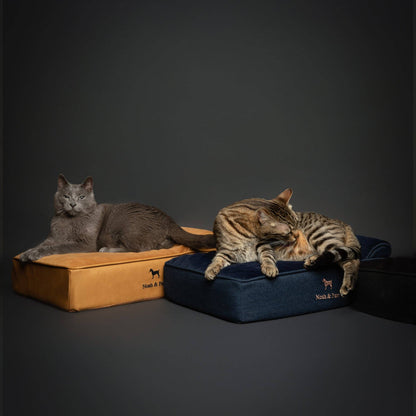 NOAH AND PAW LLC - Denim Orthopedic Dog Bed, Cooling Gel Memory Foam, Classic - Doglicious Bakery Bites