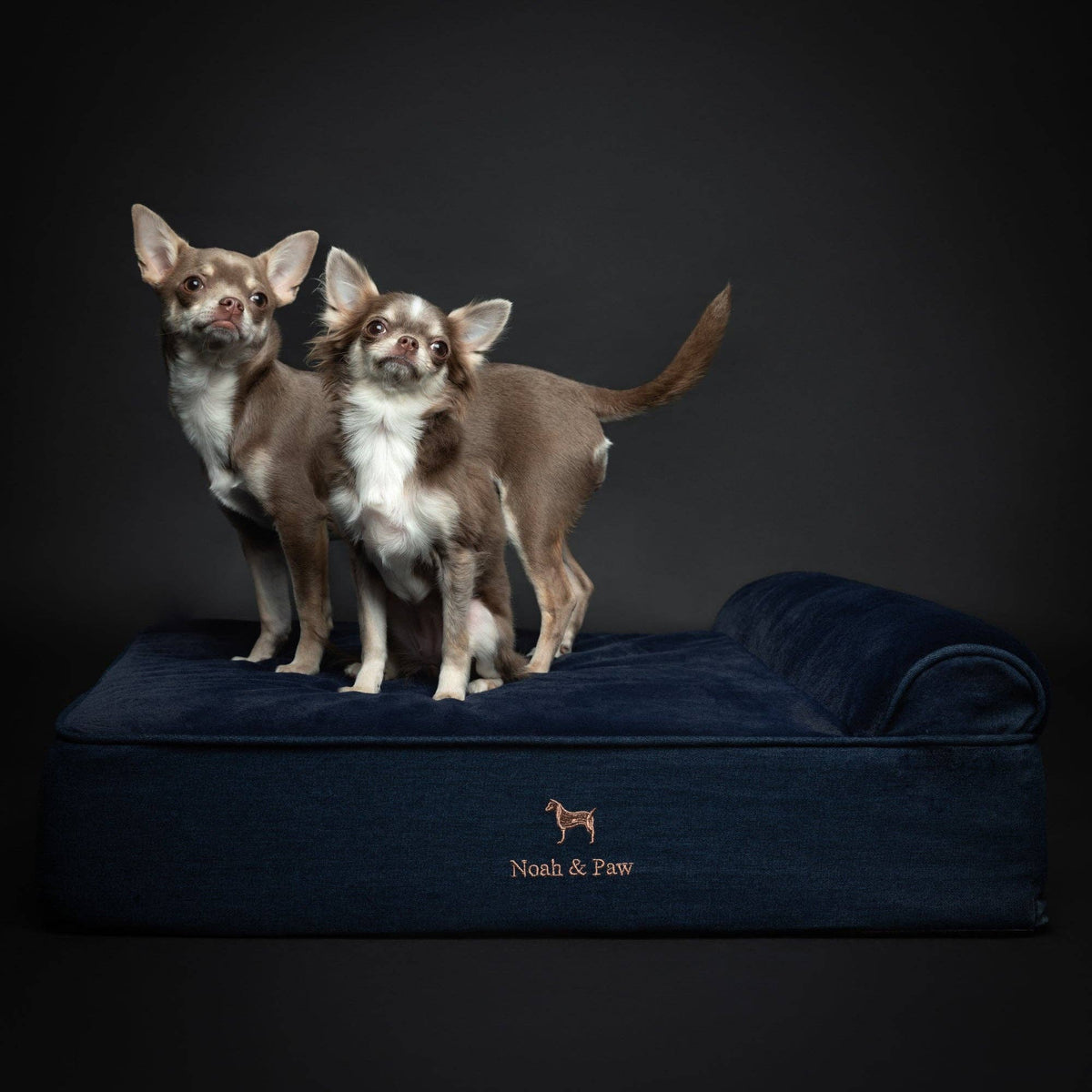 NOAH AND PAW LLC - Denim Orthopedic Dog Bed, Cooling Gel Memory Foam, Classic - Doglicious Bakery Bites