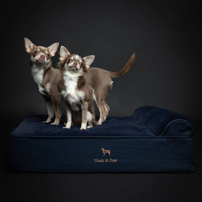 NOAH AND PAW LLC - Denim Orthopedic Dog Bed, Cooling Gel Memory Foam, Classic - Doglicious Bakery Bites