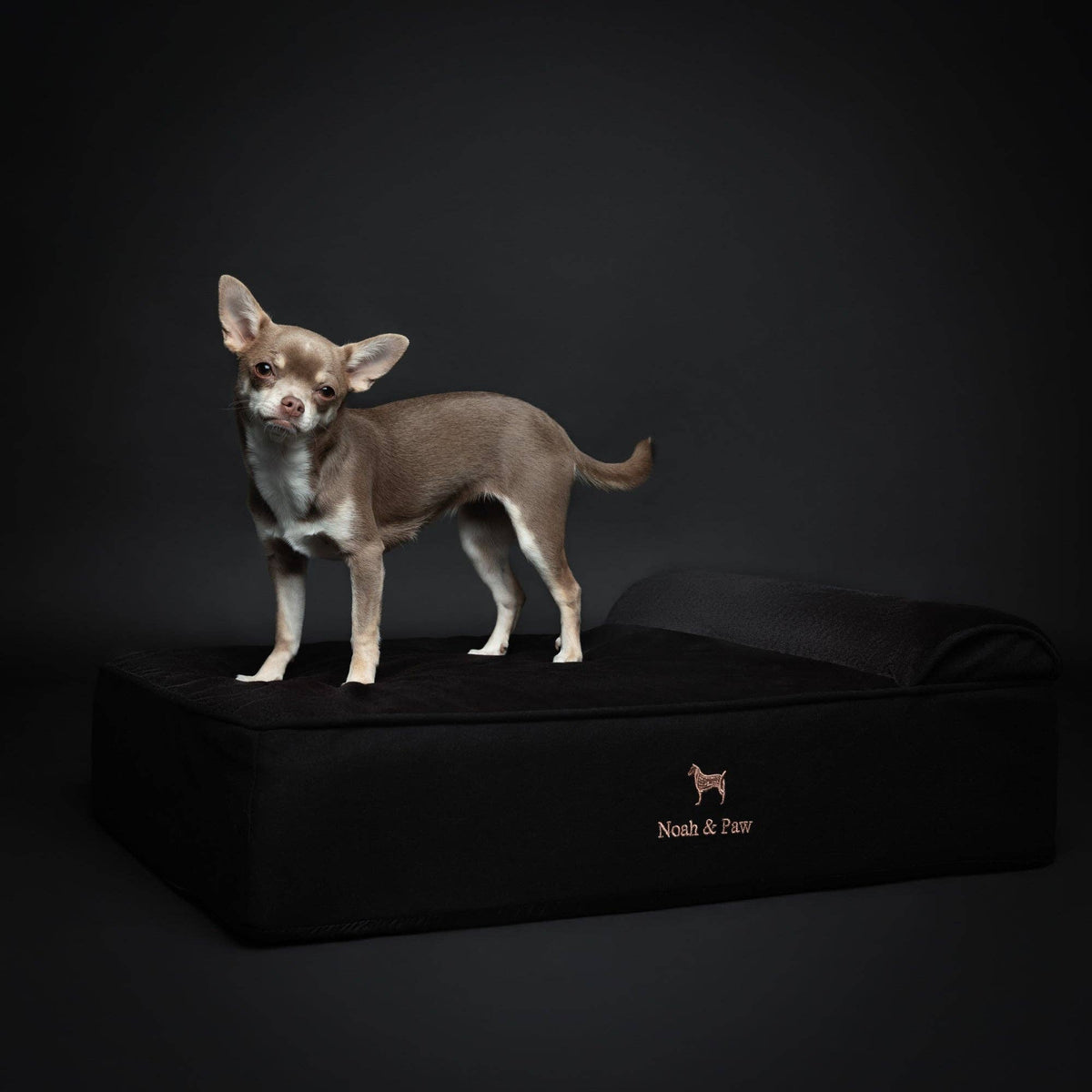 NOAH AND PAW LLC - Denim Orthopedic Dog Bed, Cooling Gel Memory Foam, Classic - Doglicious Bakery Bites