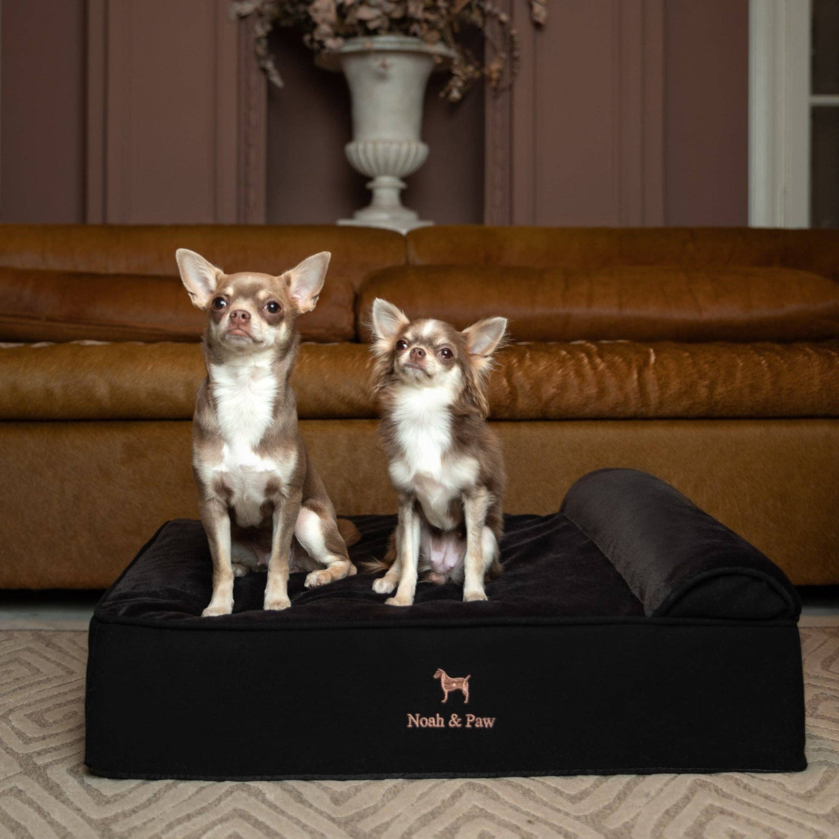 NOAH AND PAW LLC - Denim Orthopedic Dog Bed, Cooling Gel Memory Foam, Classic - Doglicious Bakery Bites