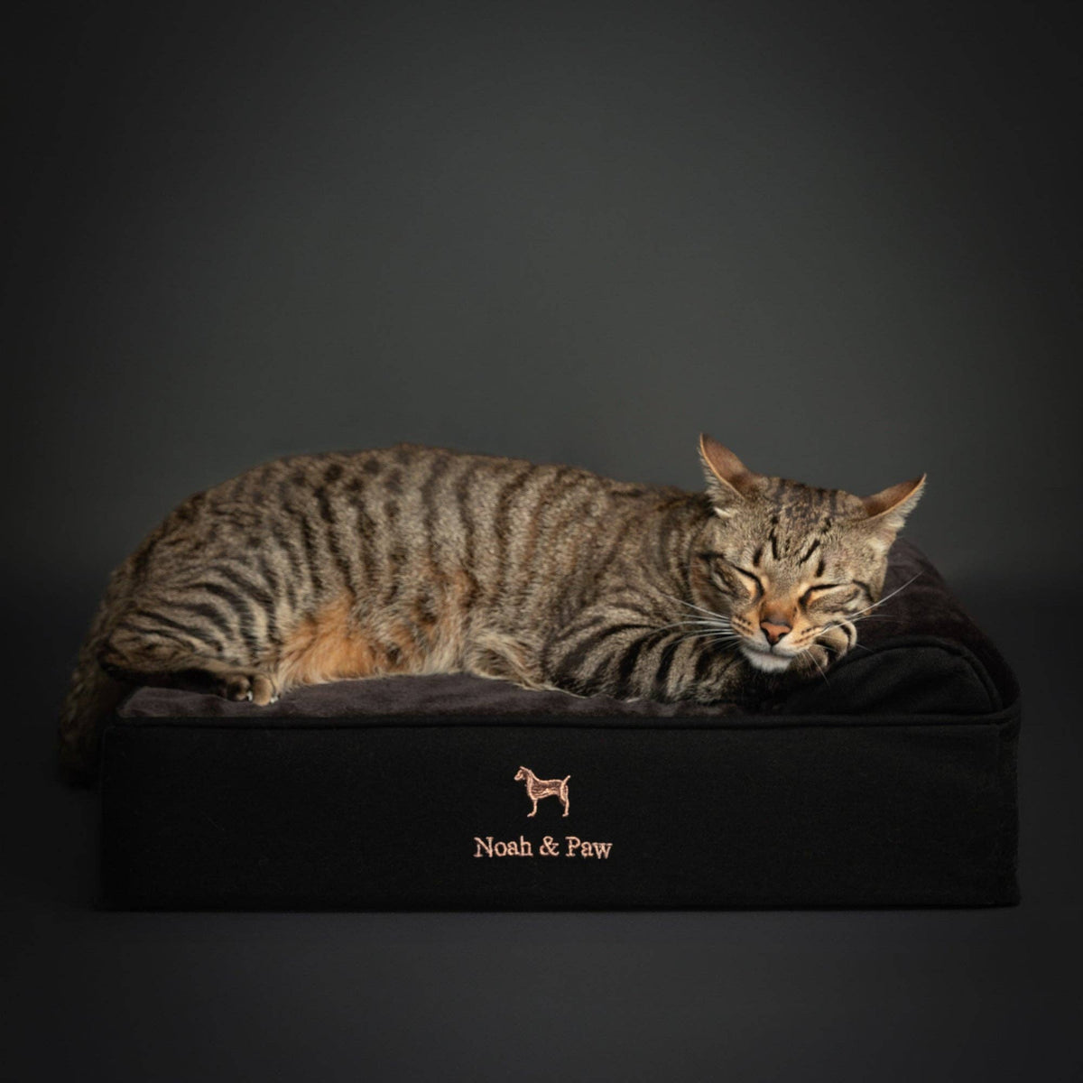 NOAH AND PAW LLC - Denim Orthopedic Dog Bed, Cooling Gel Memory Foam, Classic - Doglicious Bakery Bites