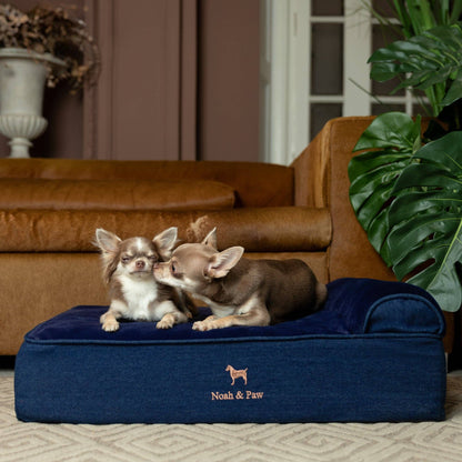 NOAH AND PAW LLC - Denim Orthopedic Dog Bed, Cooling Gel Memory Foam, Classic - Doglicious Bakery Bites