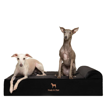 NOAH AND PAW LLC - Denim Orthopedic Dog Bed, Cooling Gel Memory Foam, Classic - Doglicious Bakery Bites