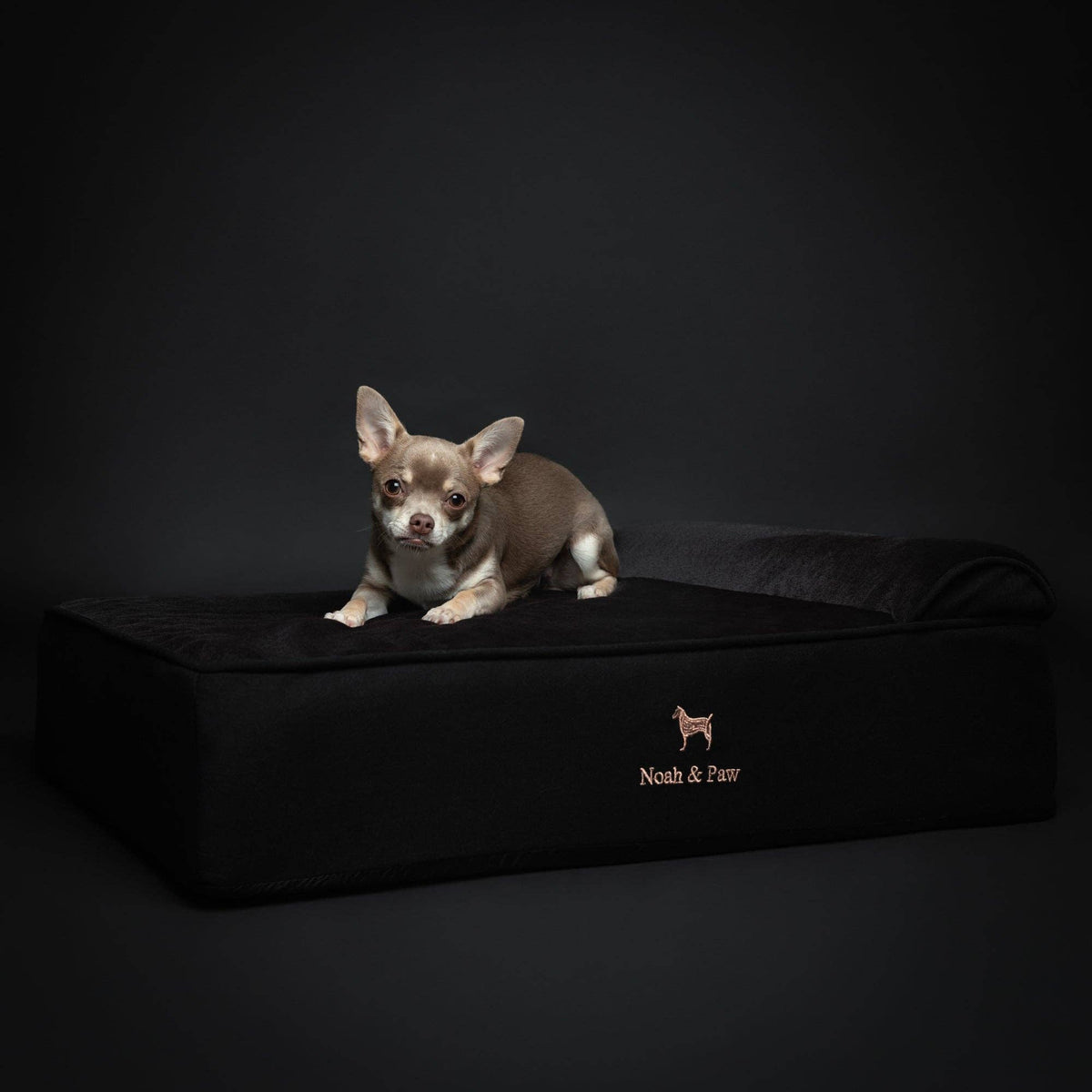 NOAH AND PAW LLC - Denim Orthopedic Dog Bed, Cooling Gel Memory Foam, Classic - Doglicious Bakery Bites