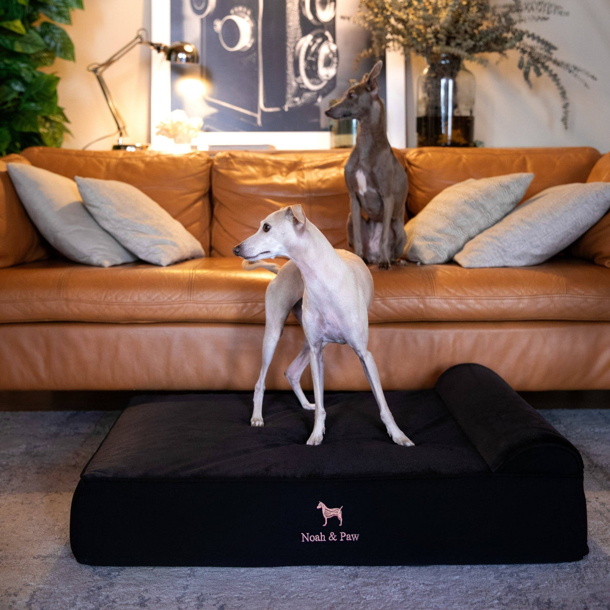 NOAH AND PAW LLC - Denim Orthopedic Dog Bed, Cooling Gel Memory Foam, Classic - Doglicious Bakery Bites