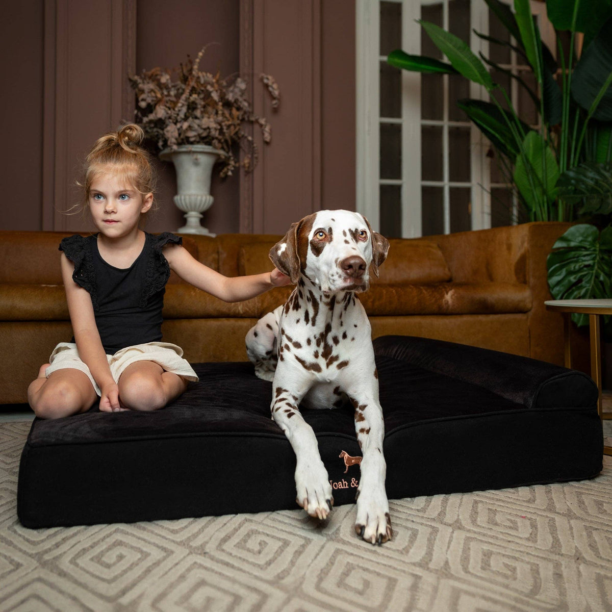 NOAH AND PAW LLC - Denim Orthopedic Dog Bed, Cooling Gel Memory Foam, Classic - Doglicious Bakery Bites