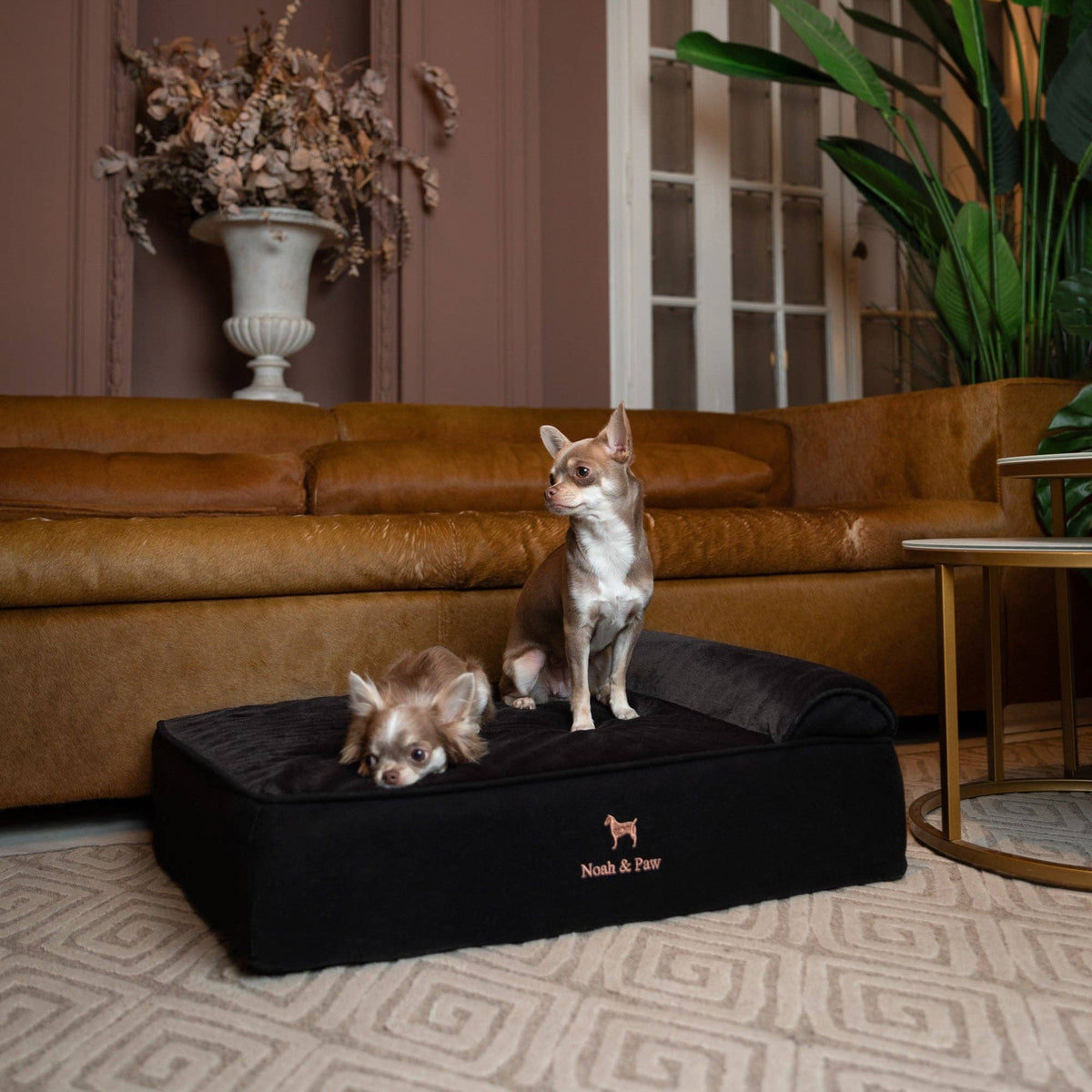 NOAH AND PAW LLC - Denim Orthopedic Dog Bed, Cooling Gel Memory Foam, Classic - Doglicious Bakery Bites