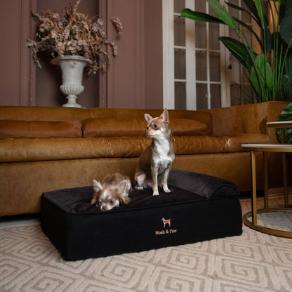 NOAH AND PAW LLC - Denim Orthopedic Dog Bed, Cooling Gel Memory Foam, Classic - Doglicious Bakery Bites