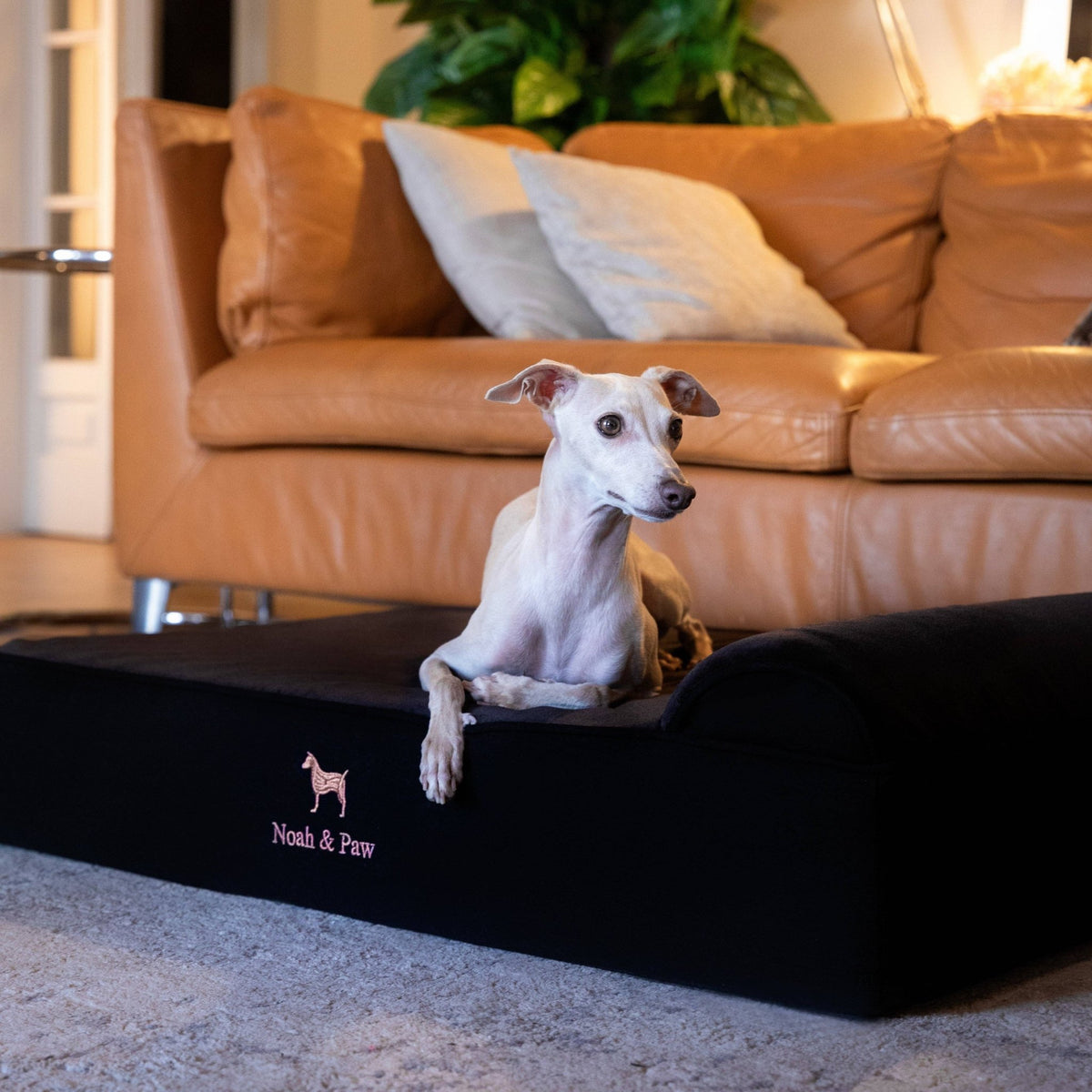 NOAH AND PAW LLC - Denim Orthopedic Dog Bed, Cooling Gel Memory Foam, Classic - Doglicious Bakery Bites