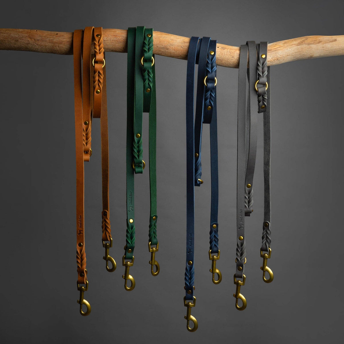 NOAH AND PAW LLC - Premium Oil-Waxed Braided Leather Dog Leash - Doglicious Bakery Bites