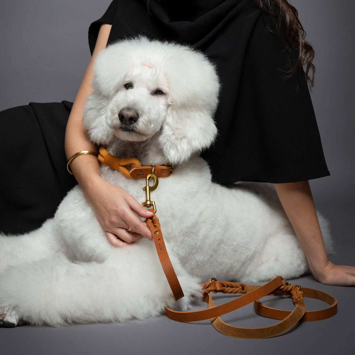 NOAH AND PAW LLC - Premium Oil-Waxed Braided Leather Dog Leash - Doglicious Bakery Bites