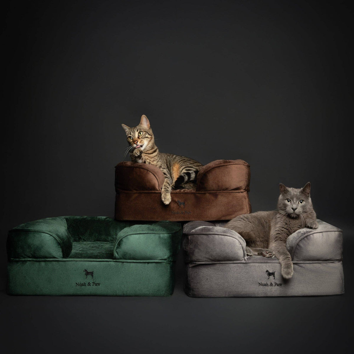 NOAH AND PAW LLC - Velvet Orthopedic Pet Bed, Cooling Gel Memory Foam - Doglicious Bakery Bites