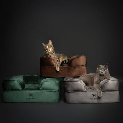NOAH AND PAW LLC - Velvet Orthopedic Pet Bed, Cooling Gel Memory Foam - Doglicious Bakery Bites