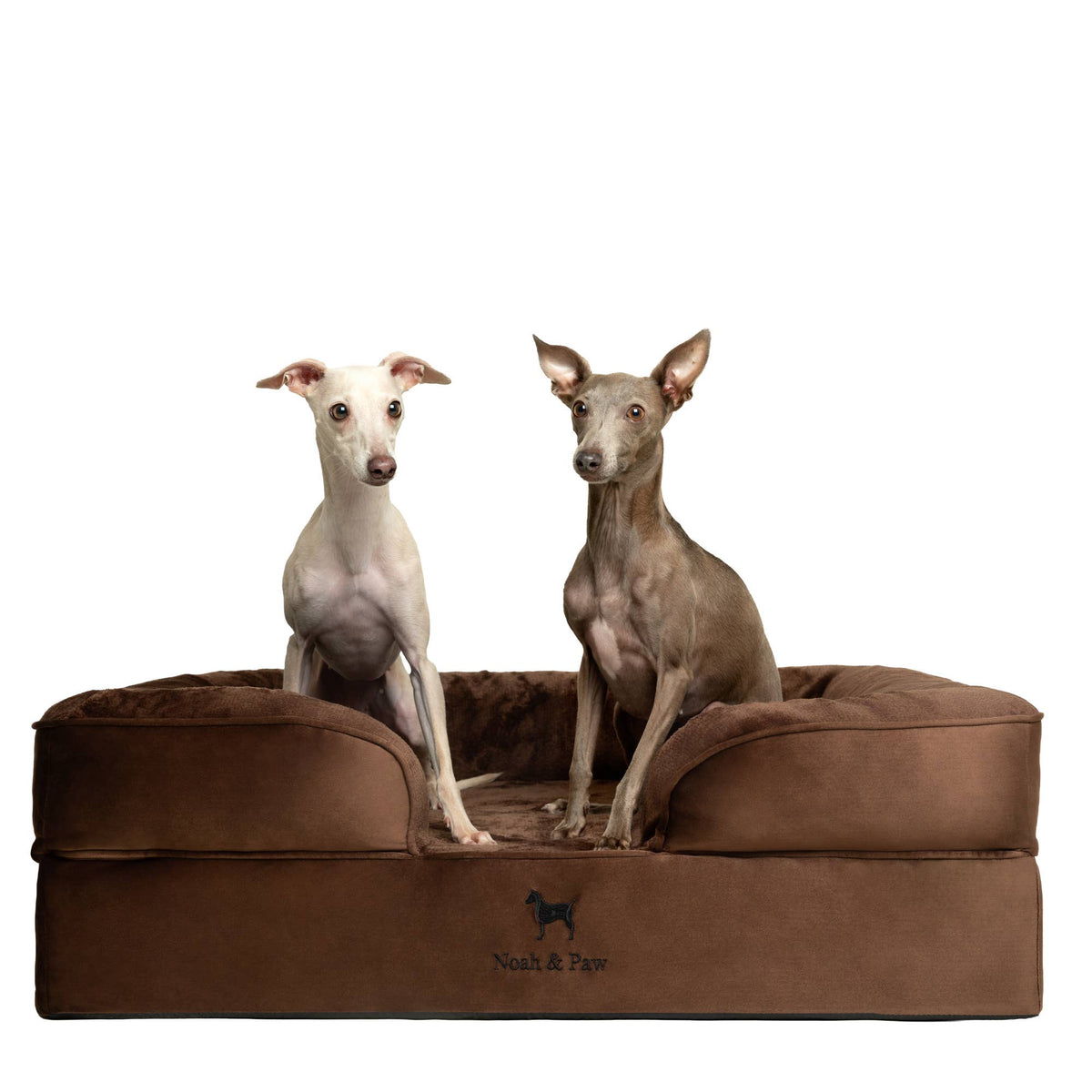 NOAH AND PAW LLC - Velvet Orthopedic Pet Bed, Cooling Gel Memory Foam - Doglicious Bakery Bites
