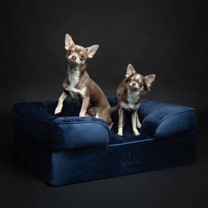 NOAH AND PAW LLC - Velvet Orthopedic Pet Bed, Cooling Gel Memory Foam - Doglicious Bakery Bites