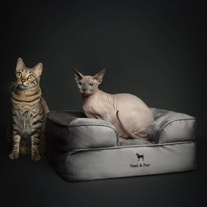 NOAH AND PAW LLC - Velvet Orthopedic Pet Bed, Cooling Gel Memory Foam - Doglicious Bakery Bites
