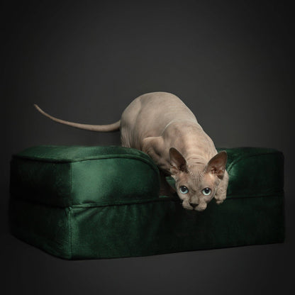 NOAH AND PAW LLC - Velvet Orthopedic Pet Bed, Cooling Gel Memory Foam - Doglicious Bakery Bites
