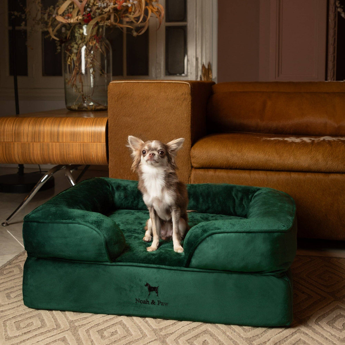 NOAH AND PAW LLC - Velvet Orthopedic Pet Bed, Cooling Gel Memory Foam - Doglicious Bakery Bites