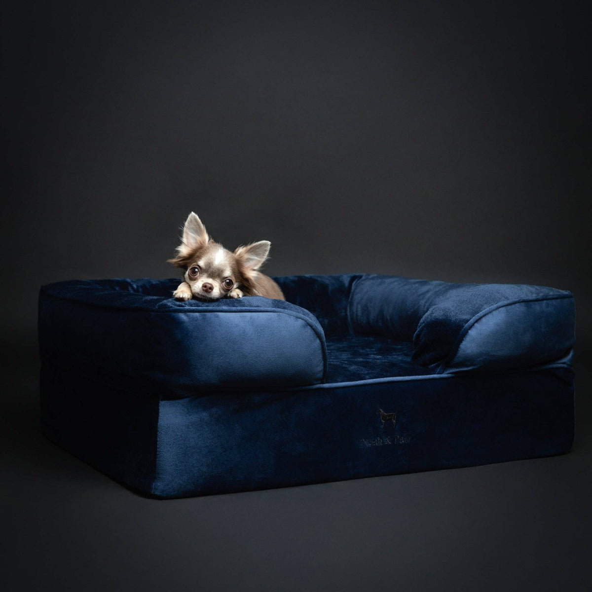 NOAH AND PAW LLC - Velvet Orthopedic Pet Bed, Cooling Gel Memory Foam - Doglicious Bakery Bites