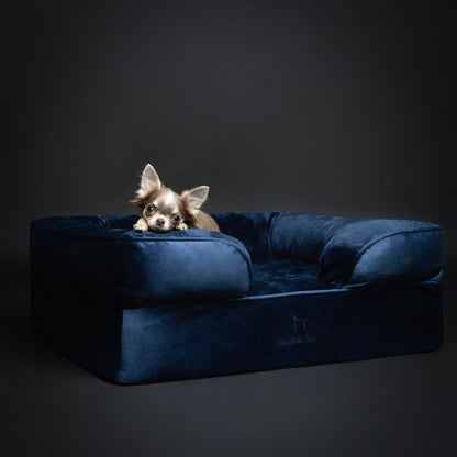 NOAH AND PAW LLC - Velvet Orthopedic Pet Bed, Cooling Gel Memory Foam - Doglicious Bakery Bites