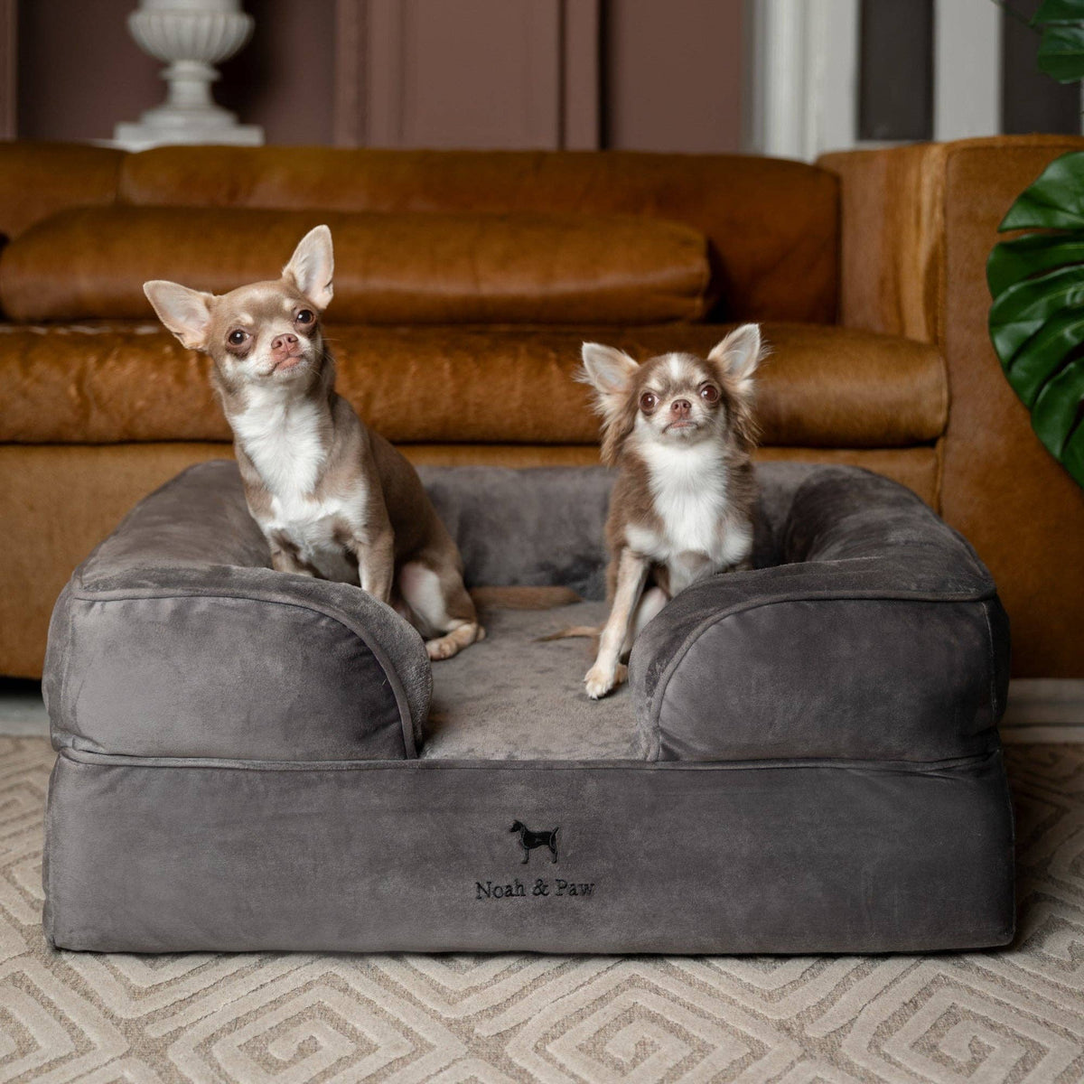 NOAH AND PAW LLC - Velvet Orthopedic Pet Bed, Cooling Gel Memory Foam - Doglicious Bakery Bites