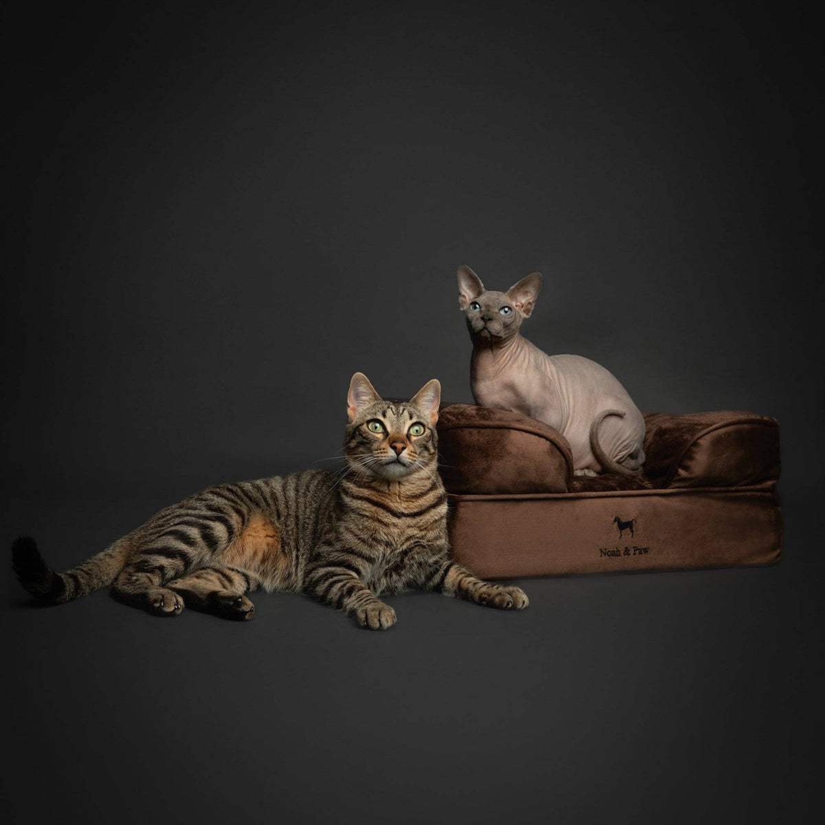 NOAH AND PAW LLC - Velvet Orthopedic Pet Bed, Cooling Gel Memory Foam - Doglicious Bakery Bites