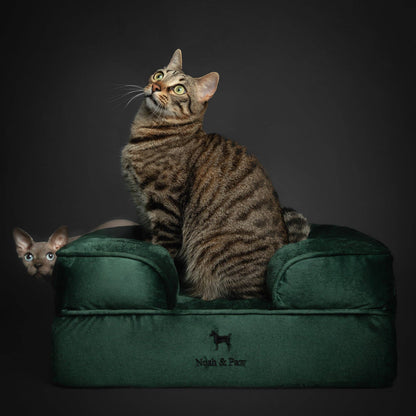 NOAH AND PAW LLC - Velvet Orthopedic Pet Bed, Cooling Gel Memory Foam - Doglicious Bakery Bites