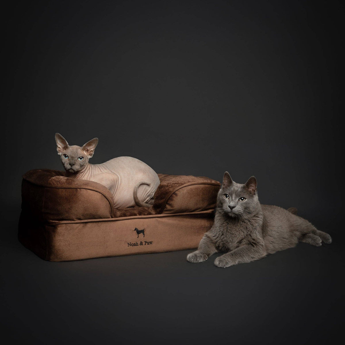 NOAH AND PAW LLC - Velvet Orthopedic Pet Bed, Cooling Gel Memory Foam - Doglicious Bakery Bites