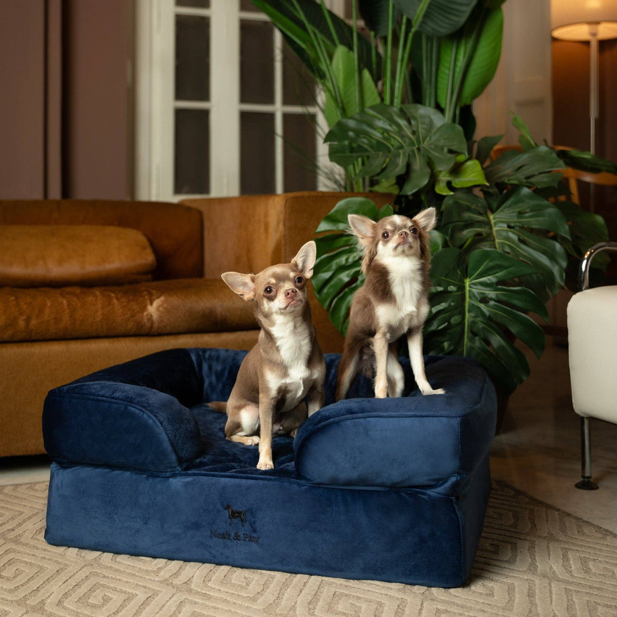 NOAH AND PAW LLC - Velvet Orthopedic Pet Bed, Cooling Gel Memory Foam - Doglicious Bakery Bites