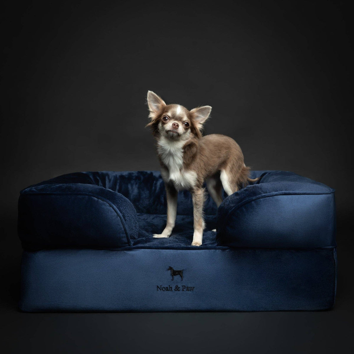 NOAH AND PAW LLC - Velvet Orthopedic Pet Bed, Cooling Gel Memory Foam - Doglicious Bakery Bites
