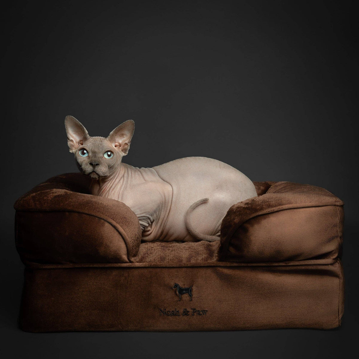 NOAH AND PAW LLC - Velvet Orthopedic Pet Bed, Cooling Gel Memory Foam - Doglicious Bakery Bites