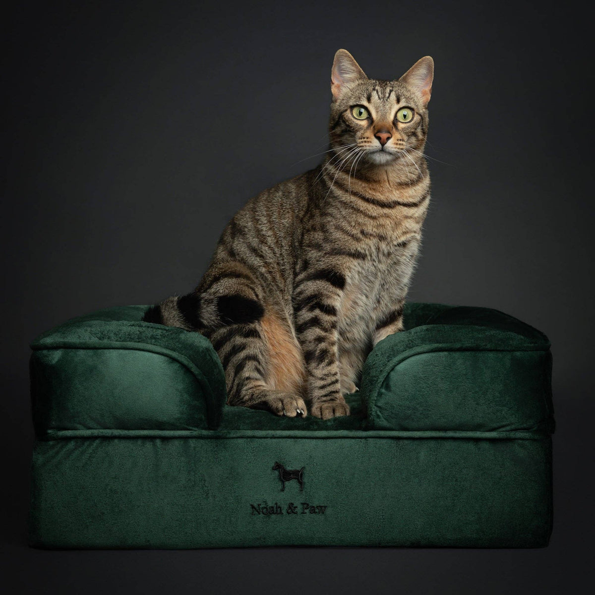 NOAH AND PAW LLC - Velvet Orthopedic Pet Bed, Cooling Gel Memory Foam - Doglicious Bakery Bites