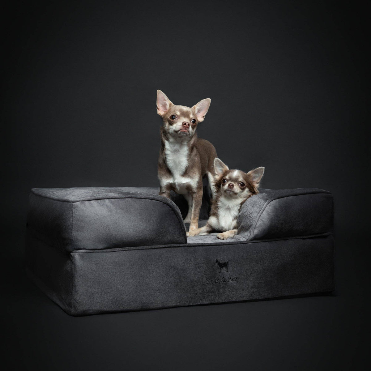 NOAH AND PAW LLC - Velvet Orthopedic Pet Bed, Cooling Gel Memory Foam - Doglicious Bakery Bites