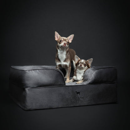 NOAH AND PAW LLC - Velvet Orthopedic Pet Bed, Cooling Gel Memory Foam - Doglicious Bakery Bites
