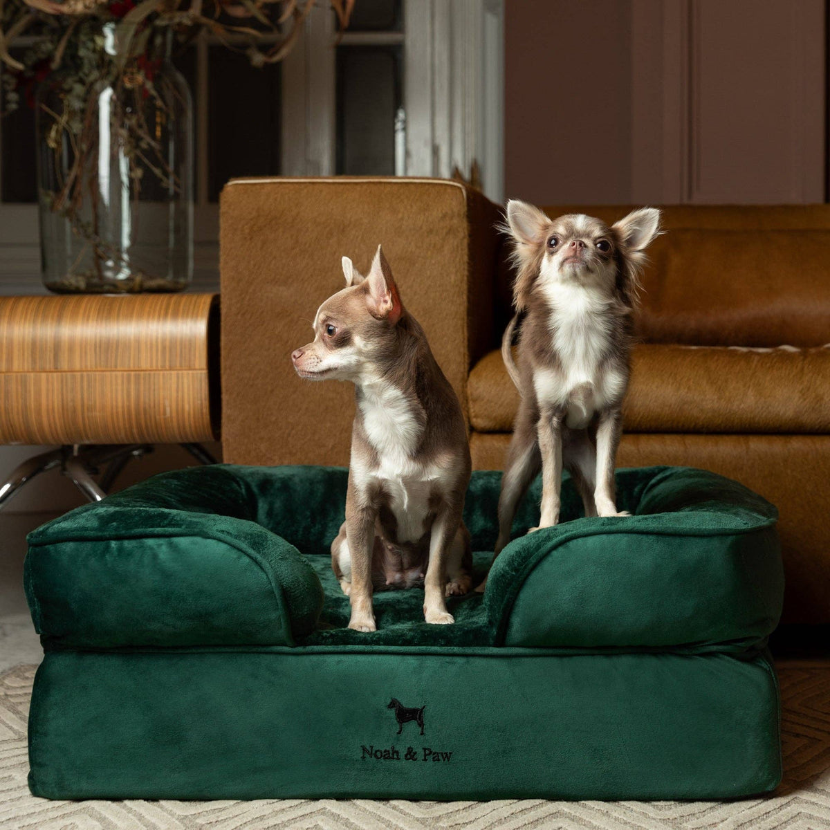 NOAH AND PAW LLC - Velvet Orthopedic Pet Bed, Cooling Gel Memory Foam - Doglicious Bakery Bites