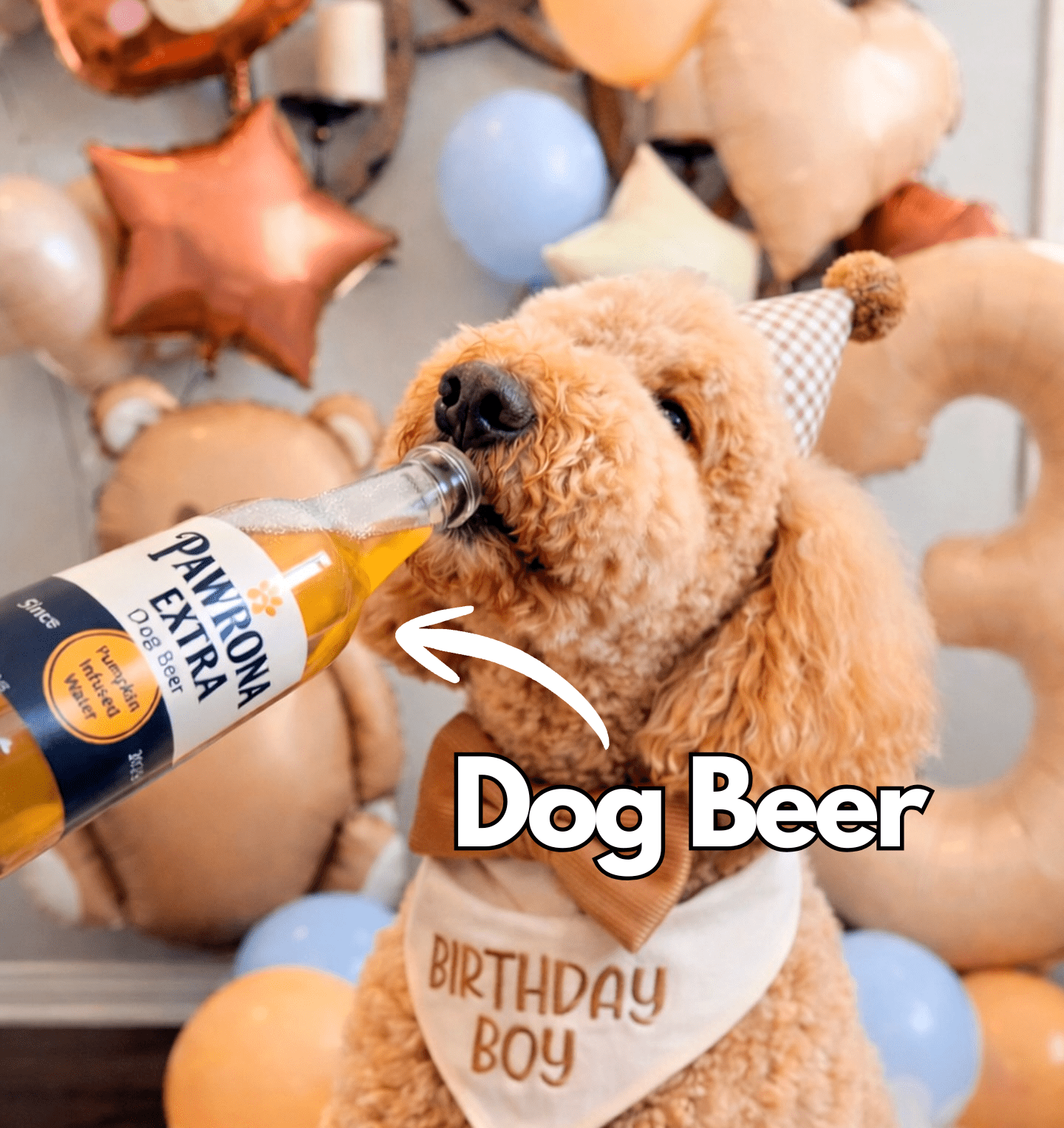Paw - Rona Dog Beer 12oz Pumpkin  - Doglicious Bakery Bites