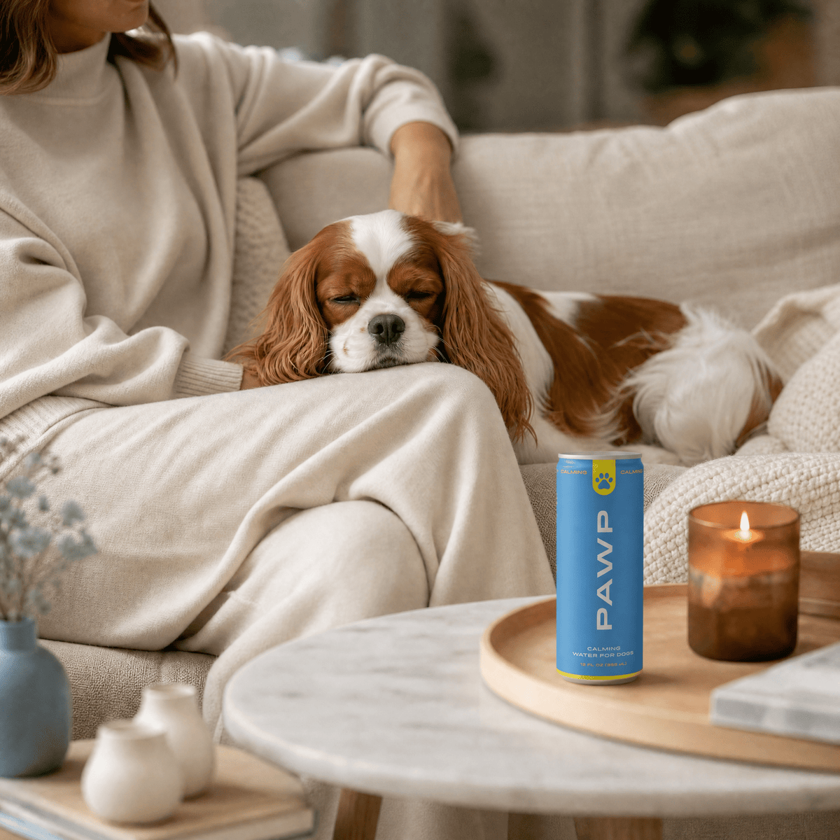Pawp Water - CALMING - Doglicious Bakery Bites