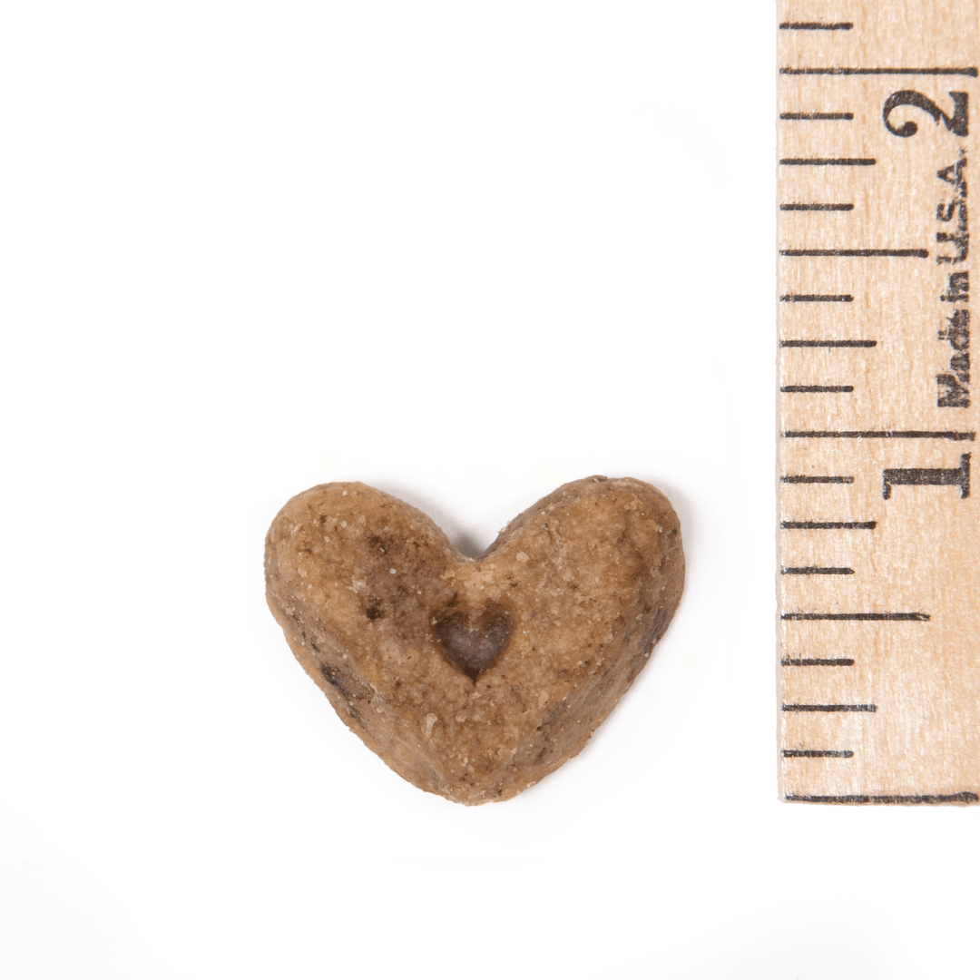 Peanut Butter & Carob Cookie Hearts - Doglicious Bakery Bites