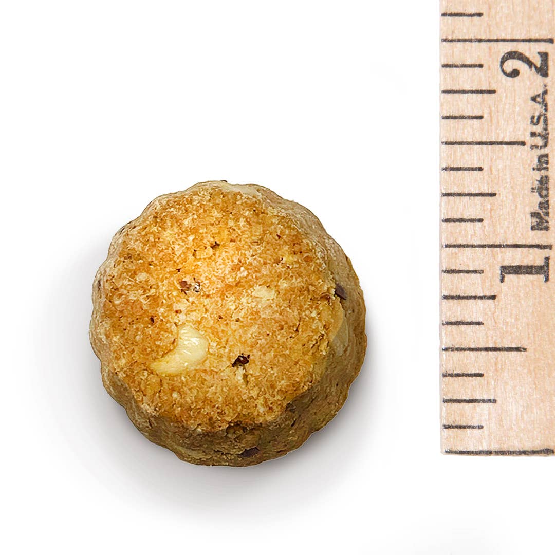 Peanut Butter & Honey Oats (WHEAT - FREE) - Doglicious Bakery Bites