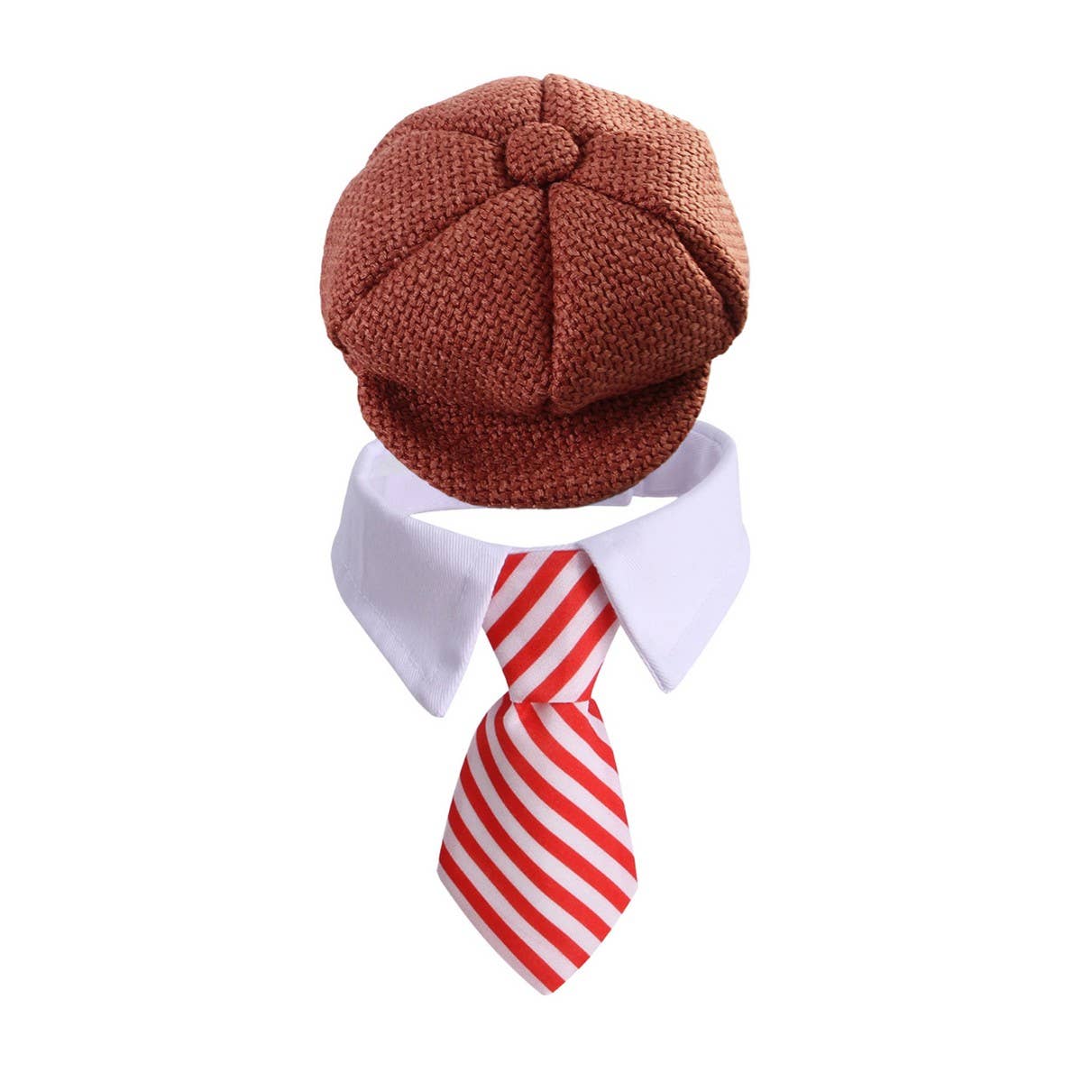 Pet BowTie & Beret Hat - Doglicious Bakery Bites