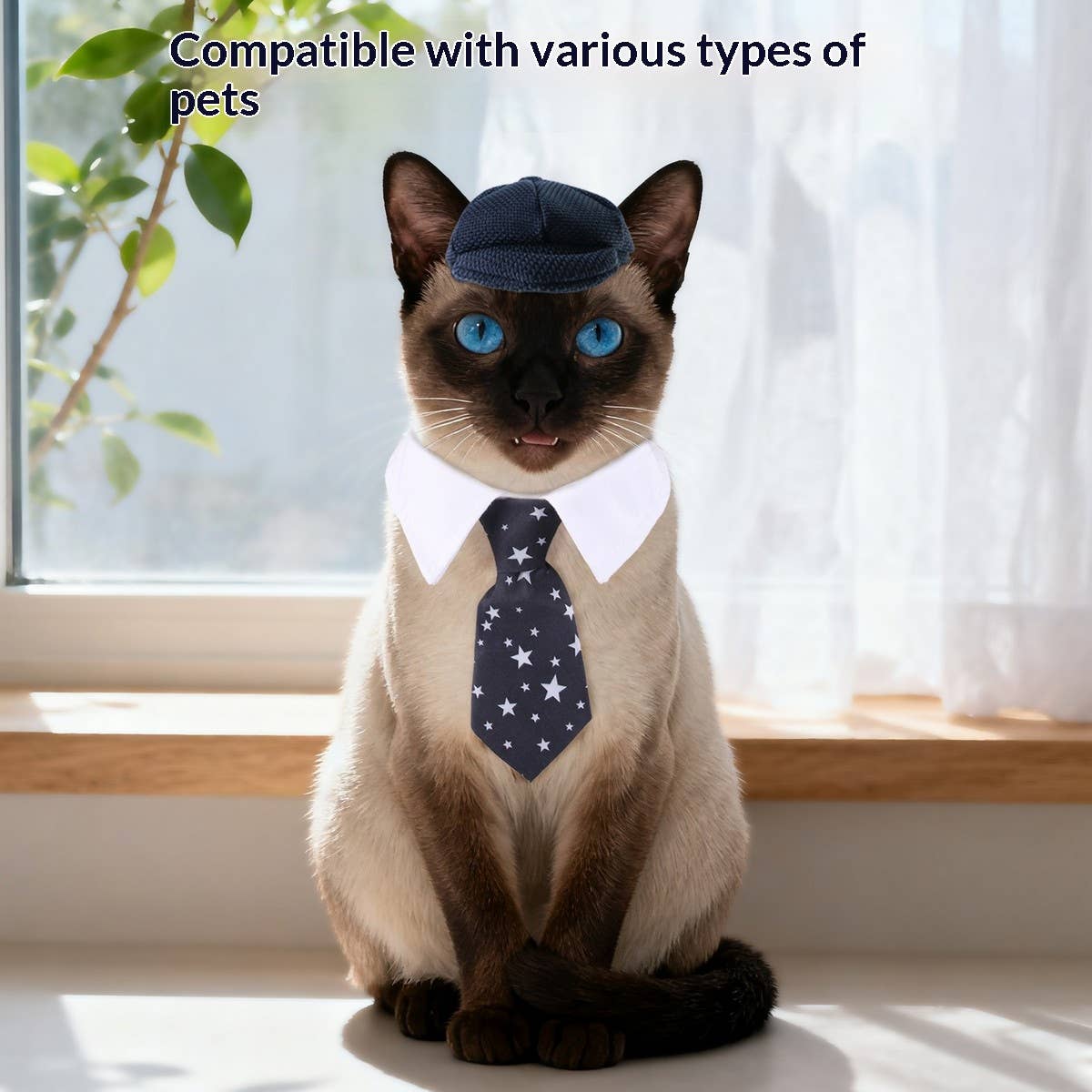 Pet BowTie & Beret Hat - Doglicious Bakery Bites