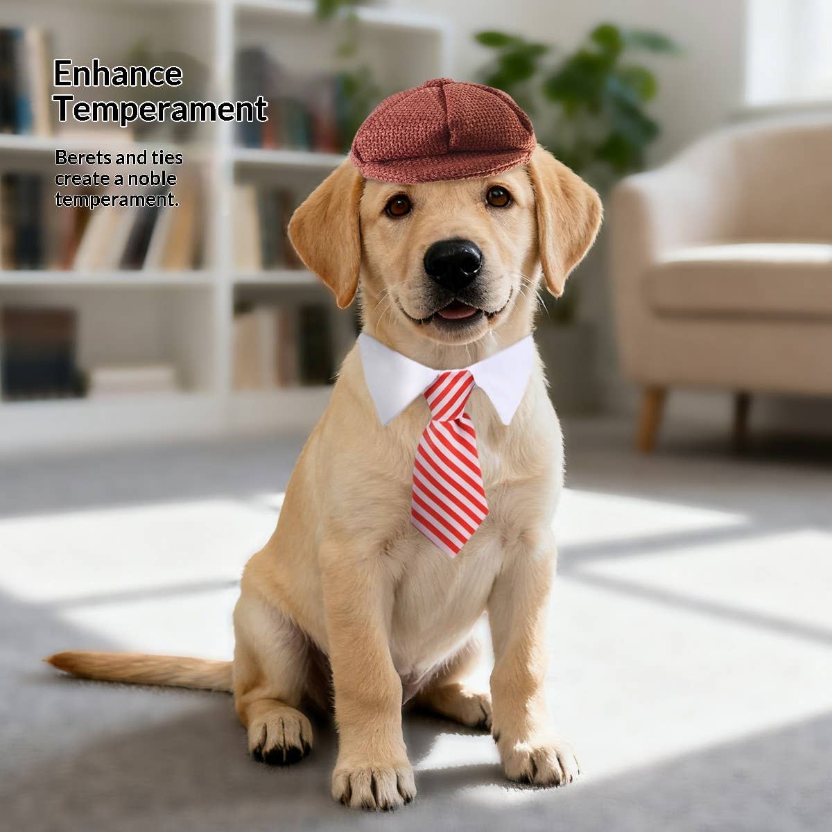 Pet BowTie & Beret Hat - Doglicious Bakery Bites