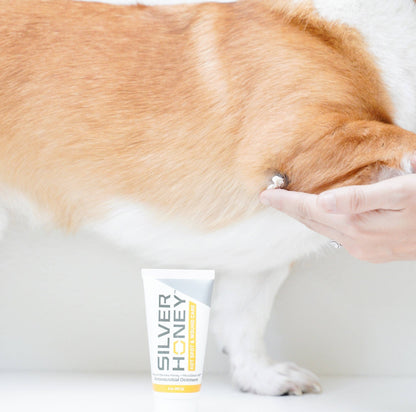 Pet Palette Distribution - Absorbine Pet - Silver Honey Hot Spot & Wound Ointment 2oz - Doglicious Bakery Bites