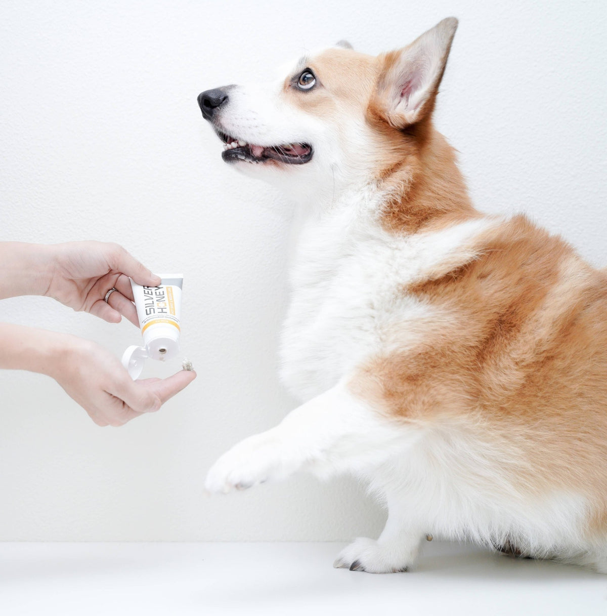 Pet Palette Distribution - Absorbine Pet - Silver Honey Hot Spot & Wound Ointment 2oz - Doglicious Bakery Bites