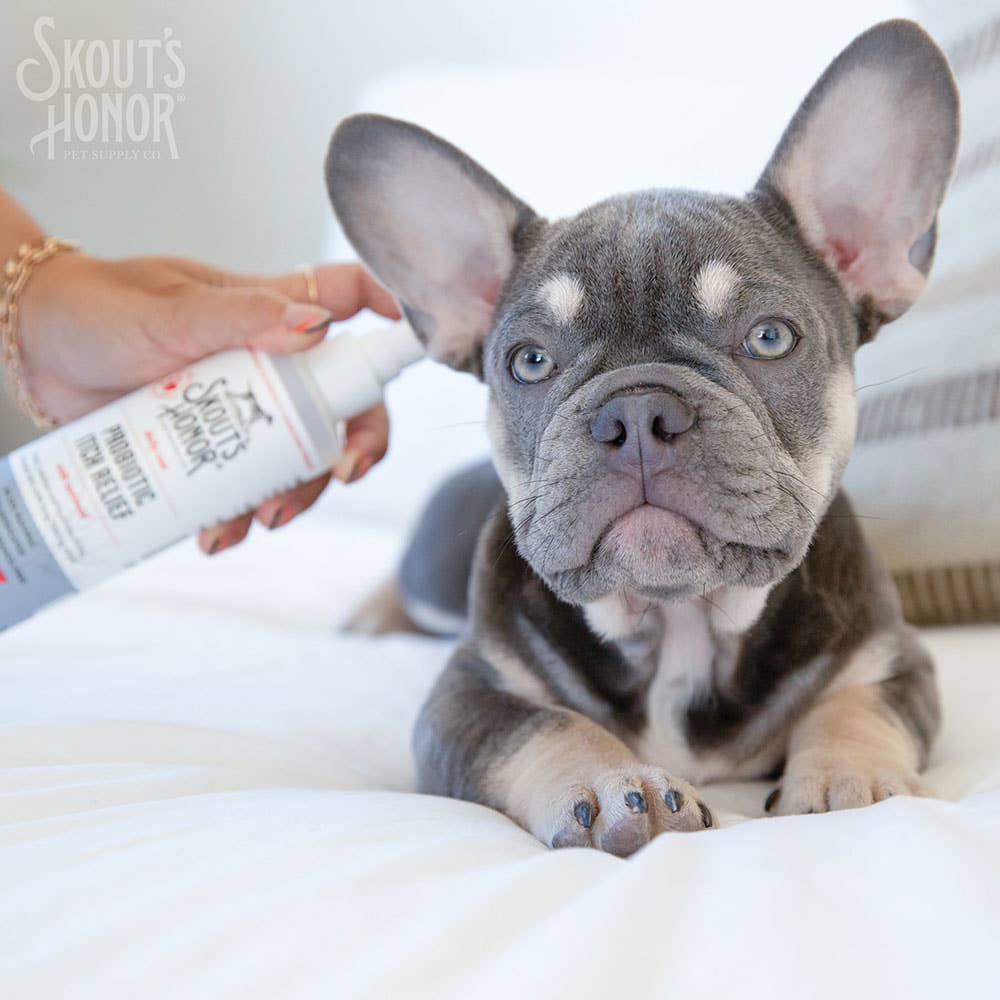 Pet Palette Distribution - Skout's Honor Probiotic Itch Relief 8 oz - Doglicious Bakery Bites
