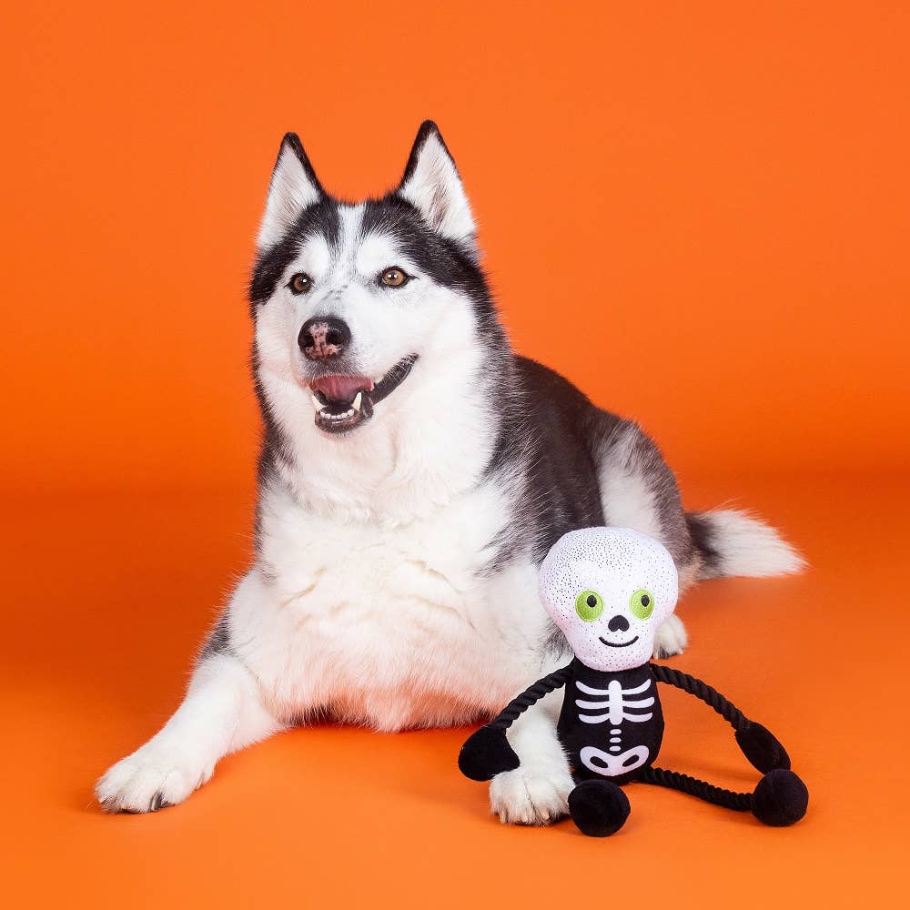 PetShop by Fringe Studio Got A Bone To Pick Plush Dog Toy - Doglicious Bakery Bites